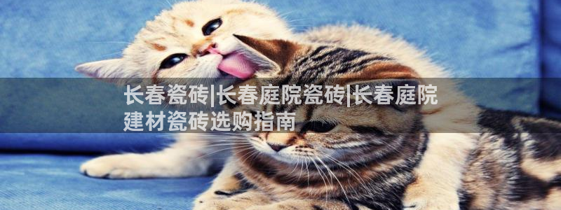 杏鑫注册平台官方网站入口