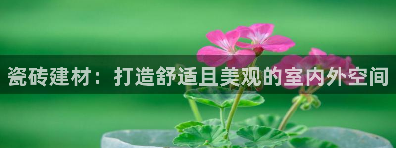 杏鑫娱乐官网首页