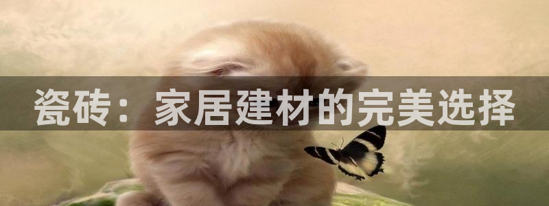 杏鑫娱乐负责人