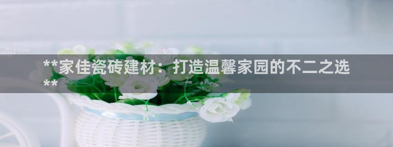 杏鑫官方平台怎么样啊