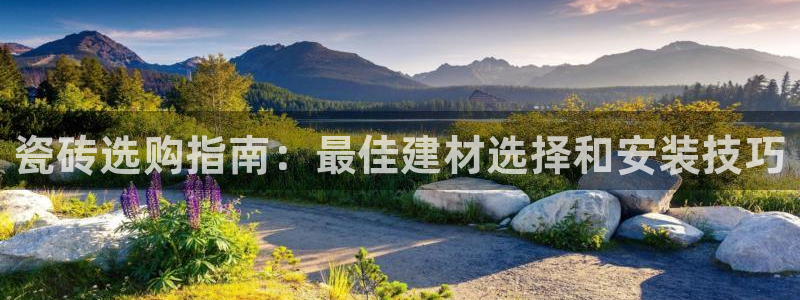 杏鑫官方平台怎么样啊知乎
