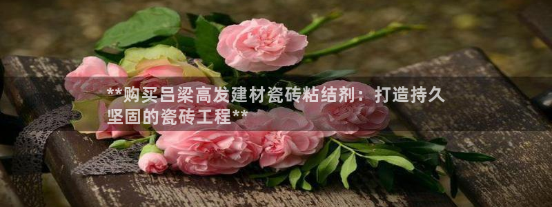 杏鑫娱乐官方网站客户端