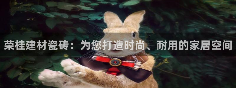 杏鑫手机客户端