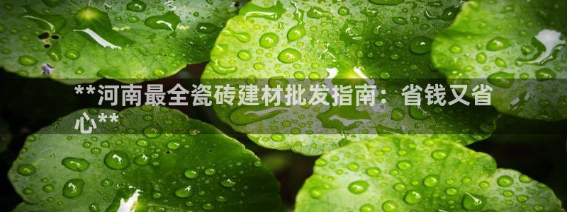 杏鑫娱乐平台