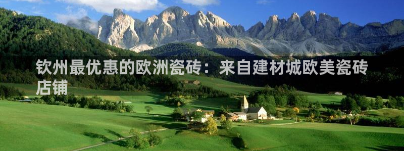 杏鑫平台代理怎么做