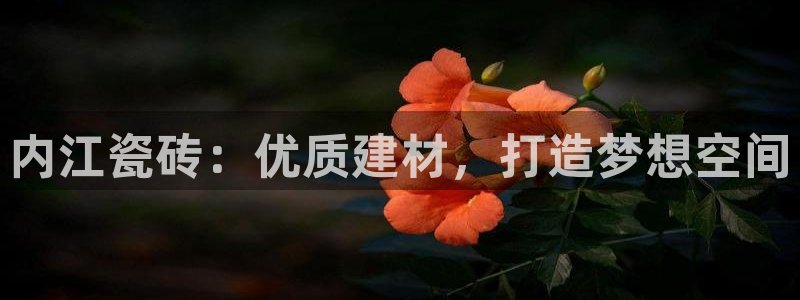 杏鑫官网注册账号密码忘了