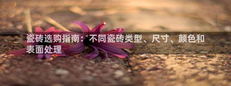 杏鑫平台在线注册