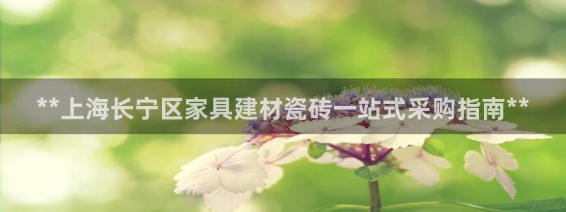 杏鑫平台待遇