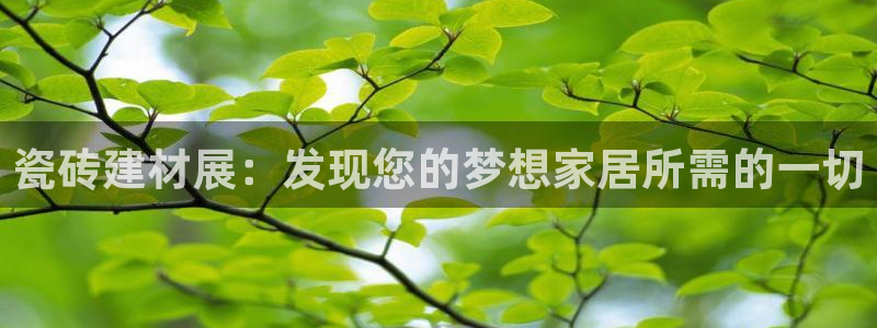 杏鑫代理注册平台