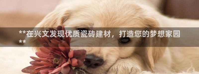 杏鑫平台注册网址是什么