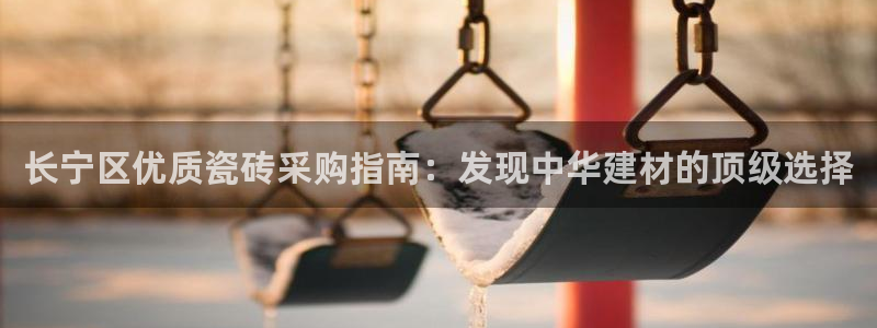 杏鑫官网最新信息新闻