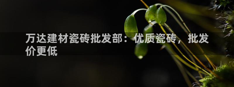 杏鑫官方平台怎么样啊可靠吗