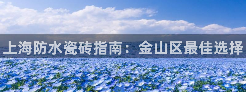 杏鑫平台代理注册流程及费用