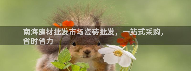 杏鑫娱乐官网登录