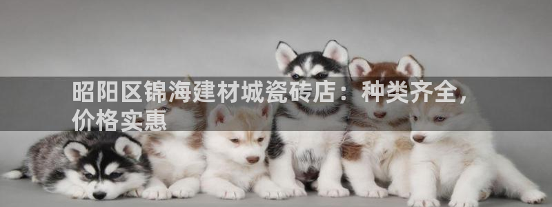 杏鑫平台代理注册登录不了怎么办呀