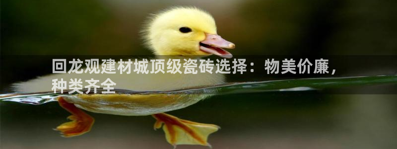 杏鑫平台代理注册流程图