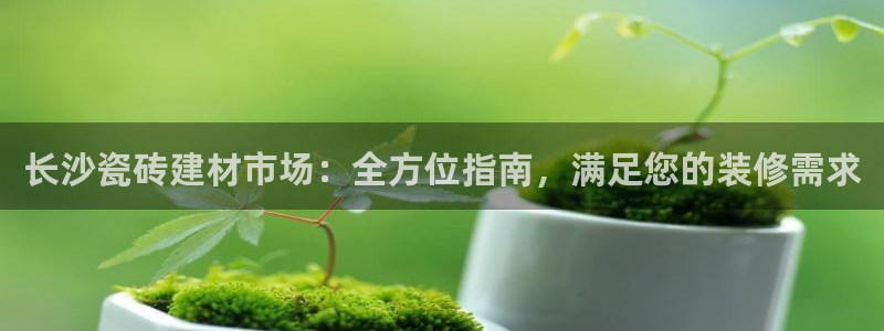 杏鑫代理注册登录