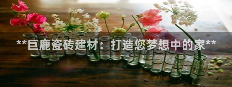 杏鑫官网注册账号密码忘了