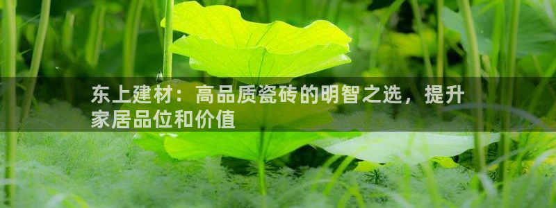 杏鑫平台登录地址在哪