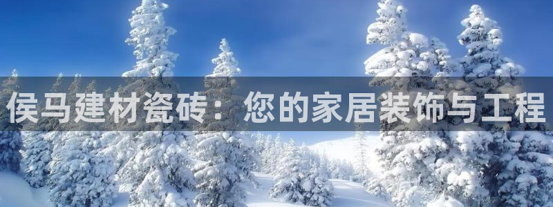 杏鑫娱乐平台测速怎么样