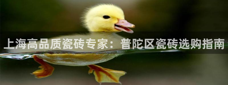 杏鑫官网注册账号是什么样的