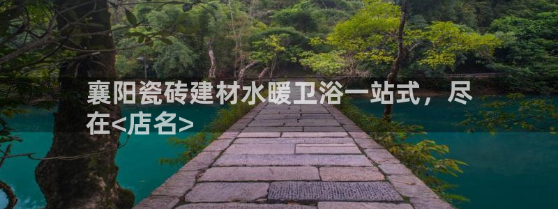杏鑫平台代理怎么做