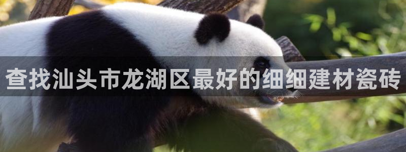 杏鑫平台招商