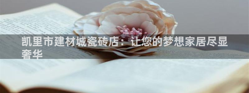 杏鑫官网