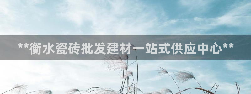 杏鑫平台代理怎么做赚钱