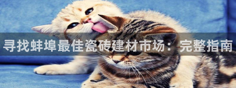 杏鑫官网注册账号