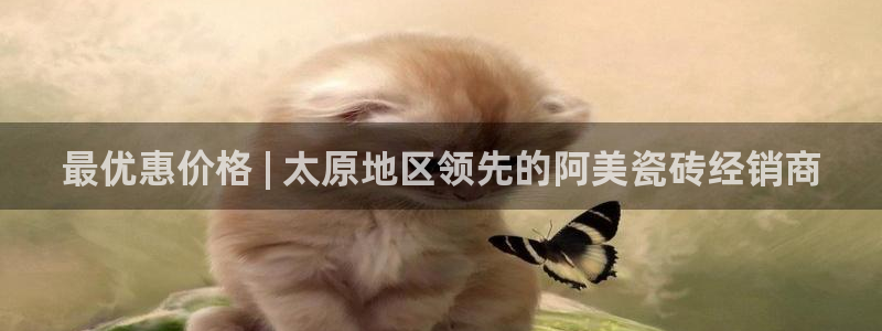 杏鑫平台是黑平台吗