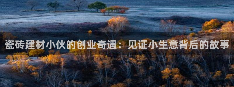 杏鑫平台是黑平台吗是真的吗