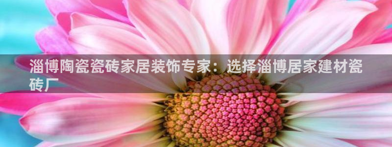 杏鑫平台登录地址查询