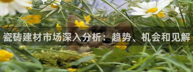 杏鑫平台招商电话