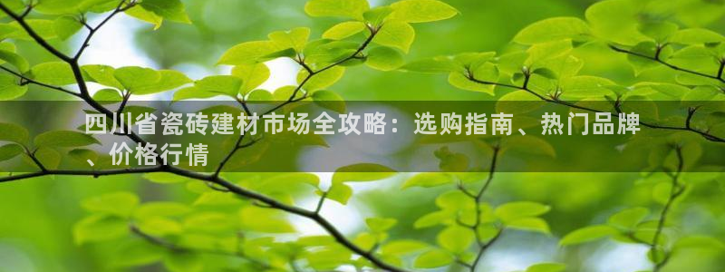 杏鑫官方平台怎么样啊知乎