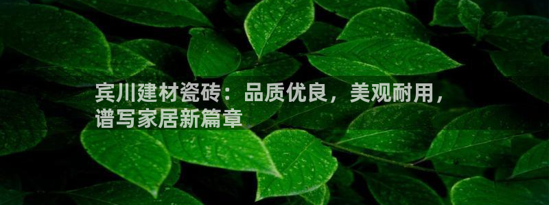 杏鑫官网注册账号密码是什么