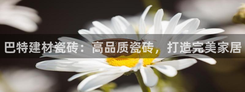 杏鑫娱乐是真的吗