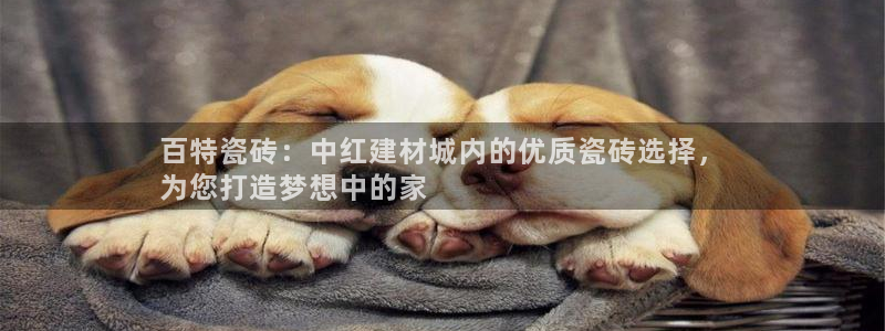 杏鑫娱乐官网首页