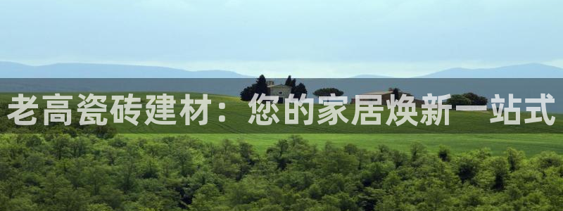 杏鑫平台测速怎么样