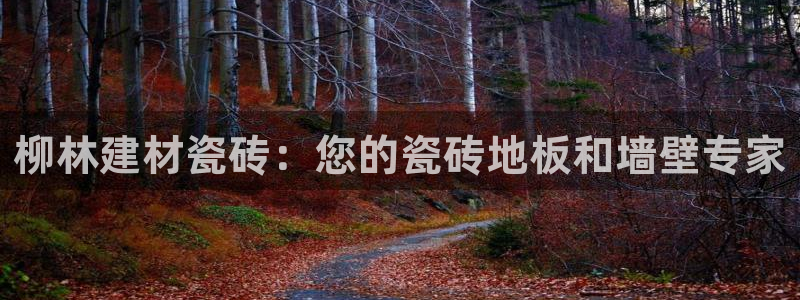 杏鑫注册登录地址