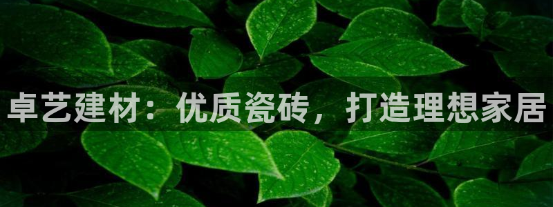 杏鑫平台念7O777