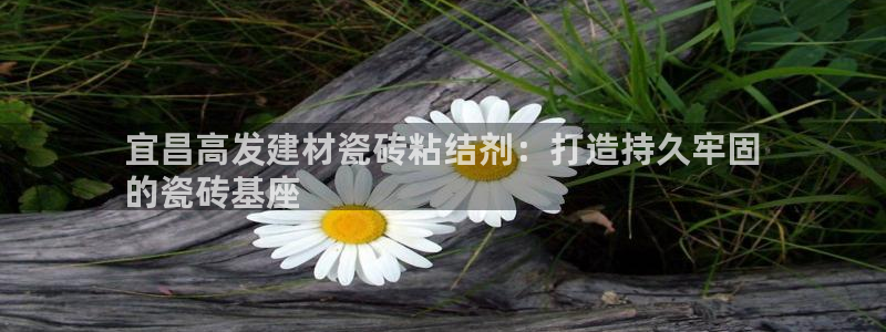 杏鑫娱乐是真的吗知乎