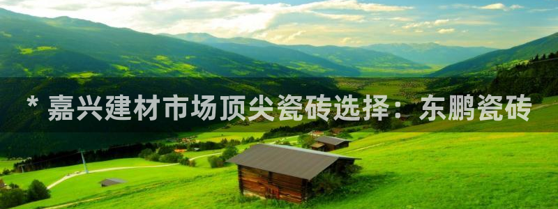 杏鑫平台代理怎么样啊