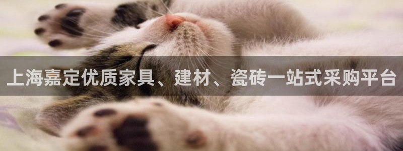 杏鑫平台野马联盟怎么样
