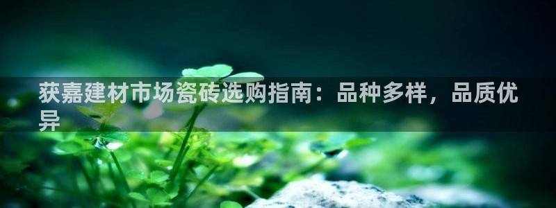 杏鑫平台怎么样黑钱吗安全吗可靠吗