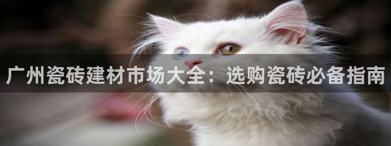 杏鑫官方平台怎么样啊可靠吗