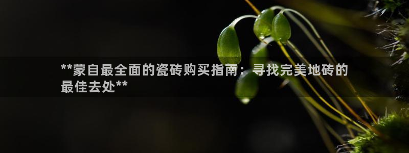 杏鑫官网最新信息新闻