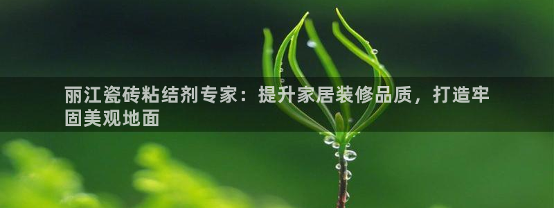 杏鑫注册登录平台是什么