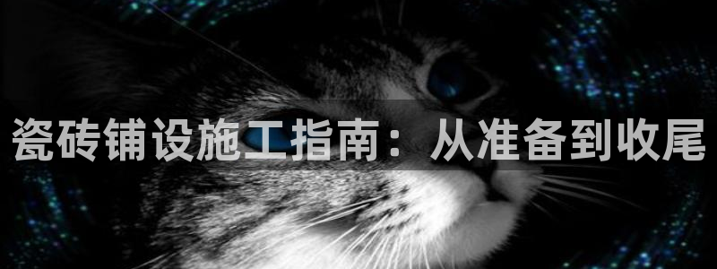 杏鑫平台招商怎么样啊