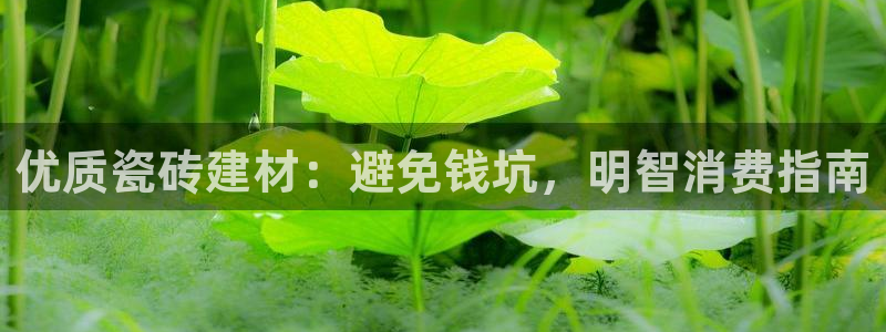 杏鑫平台招商怎么样可靠吗